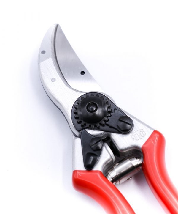 Felco 2 Forbici da Potatura Classic-coltellipersonalizzati.com