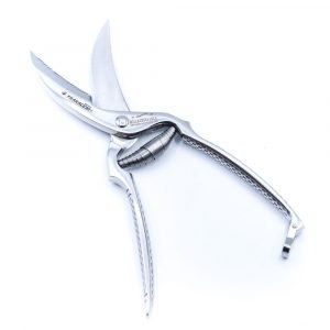 M.F. Forbici Trinciapolli Gazzella Inox-coltellipersonalizzati.com