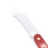 Victorinox da Potatura Curvo-coltellipersonalizzati.com