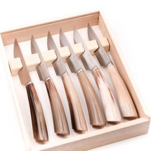 A.S. Set 6pz Bistecca-coltellipersonalizzati.com