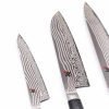 Zwilling Ceppo Magnetico + set 4pz Miyabi 5000FC-D-coltellipersonalizzati.com