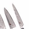Zwilling Ceppo Magnetico + set 4pz Miyabi 5000FC-D-coltellipersonalizzati.com