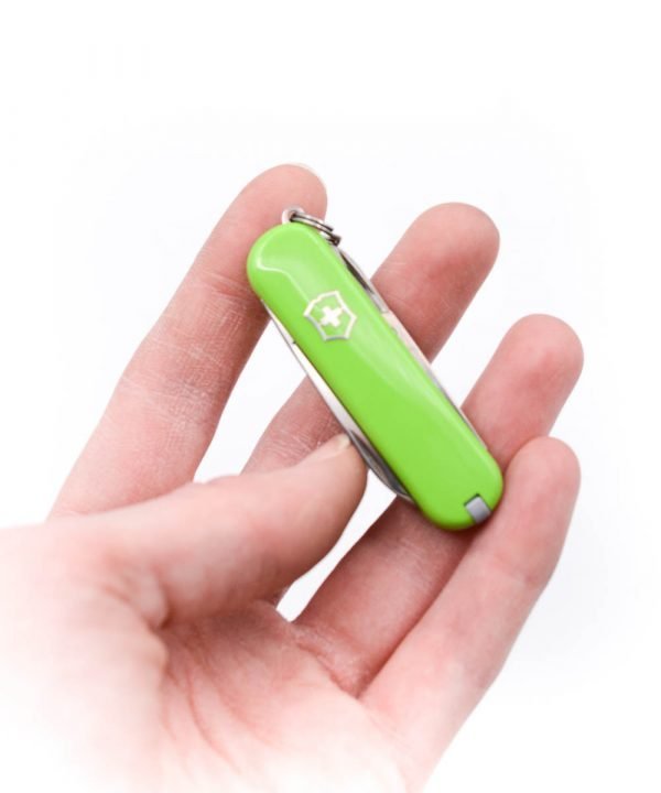 Victorinox Classic SD Smashed Avocado-coltellipersonalizzati.com