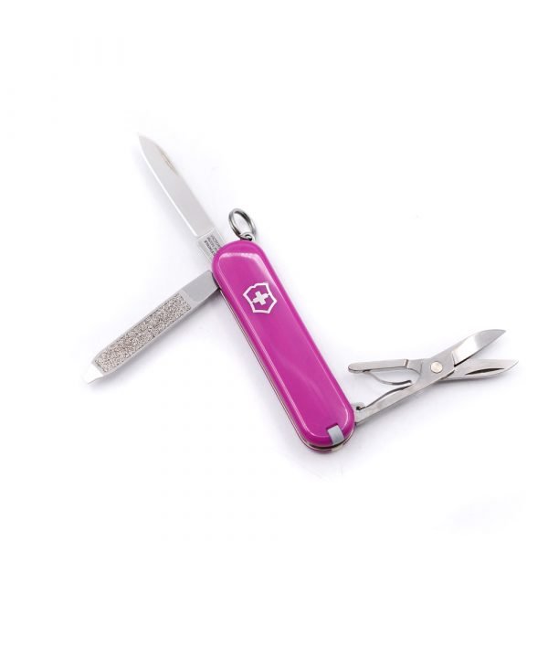 Victorinox Classic SD Tasty Grape-coltellipersonalizzati.com