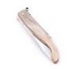 Nino Saracca Romagnola 25cm- coltellipersonalizzati.com