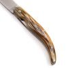 A.S. Il Personale Corno Antico 23cm- coltellipersonalizzati.com