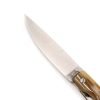 A.S. Il Personale Corno Antico 23cm- coltellipersonalizzati.com