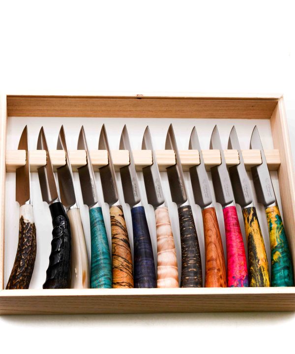 A.S. Set 12pz Bistecca Legni vari e Corno-coltellipersonalizzati.com