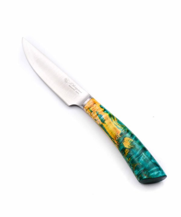 A.S. Set 12pz Bistecca Legni vari e Corno-coltellipersonalizzati.com