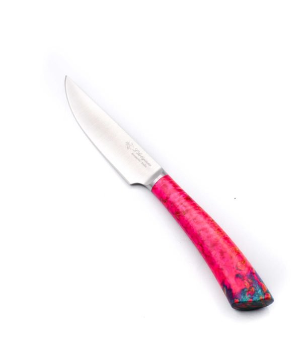 A.S. Set 12pz Bistecca Legni vari e Corno-coltellipersonalizzati.com