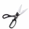 ARS Forbici Professionale 26cm-coltellipersonalizzati.com